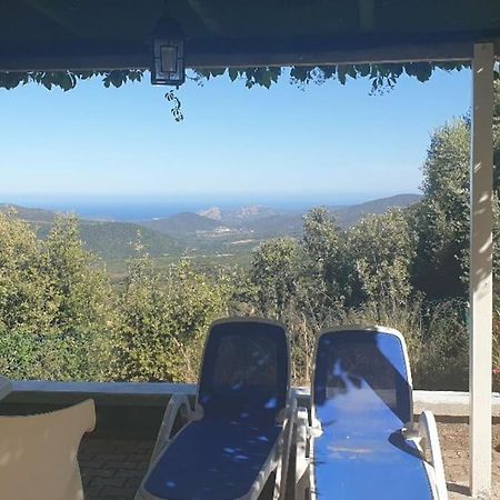 Vos Vacances A Lama France Corse Kültér fotó