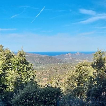 Vos Vacances A Lama France Corse Kültér fotó