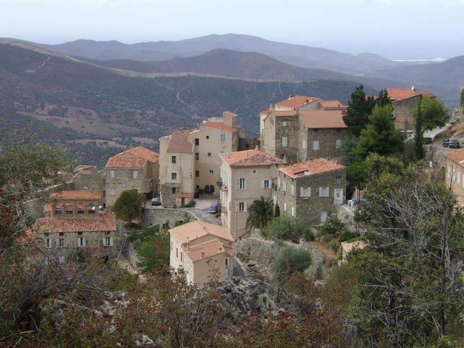 Vos Vacances A Lama France Corse Kültér fotó