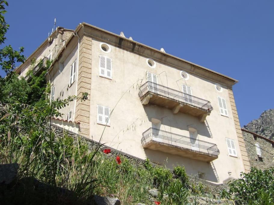 Vos Vacances A Lama France Corse Kültér fotó