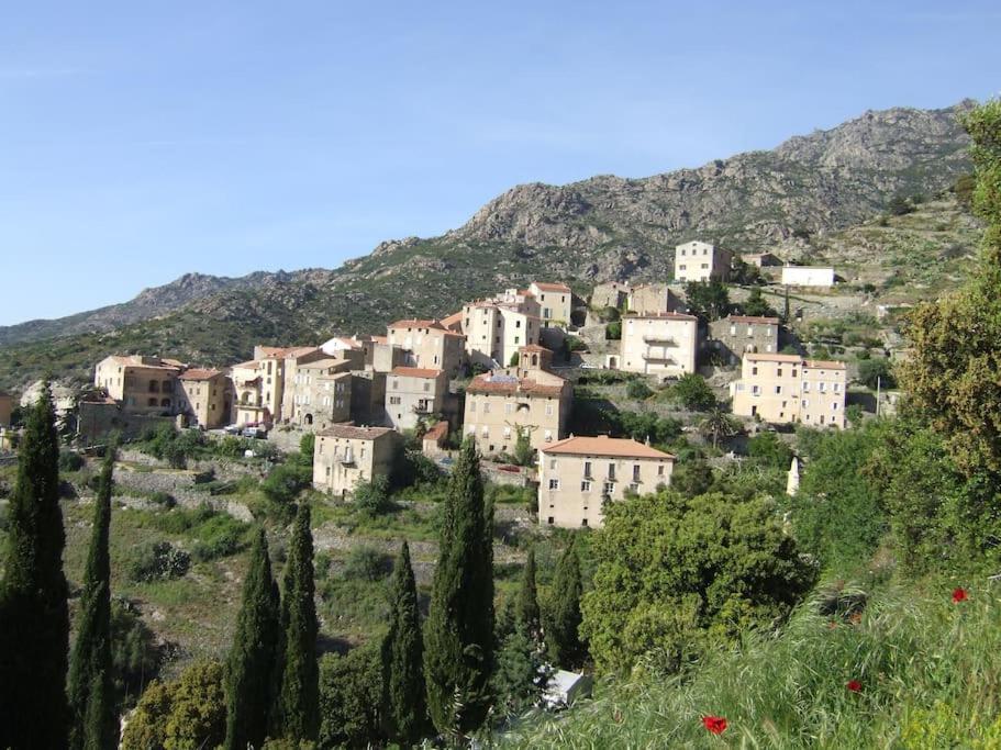Vos Vacances A Lama France Corse Kültér fotó