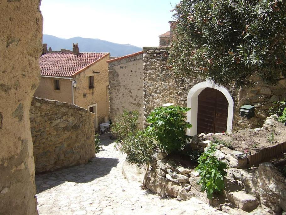 Vos Vacances A Lama France Corse Kültér fotó
