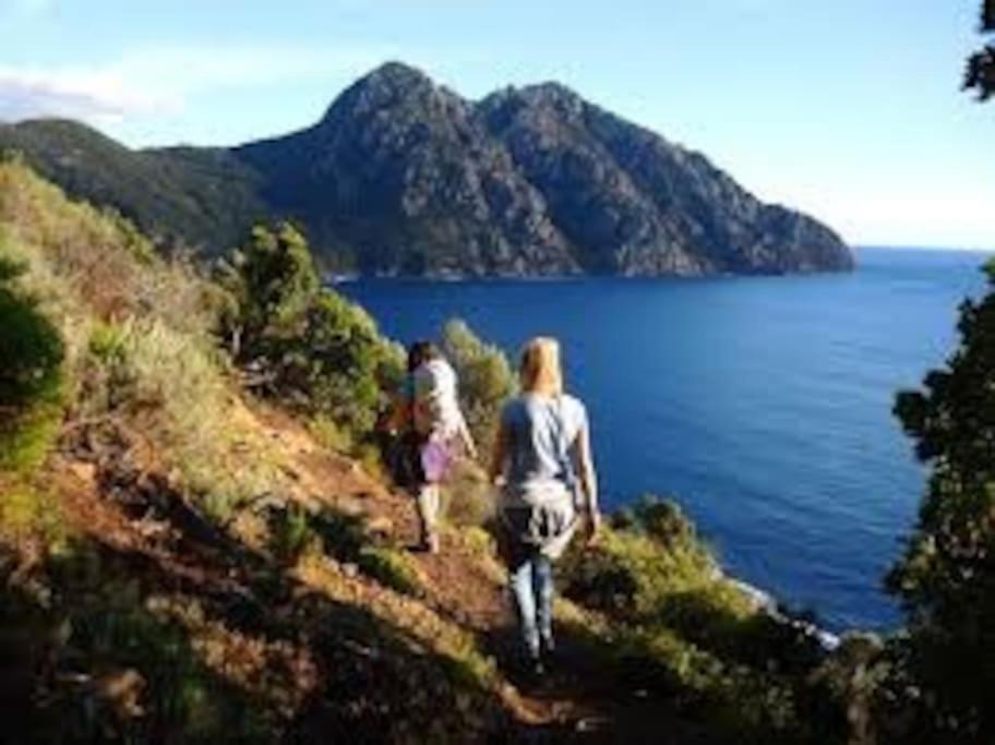 Vos Vacances A Lama France Corse Kültér fotó