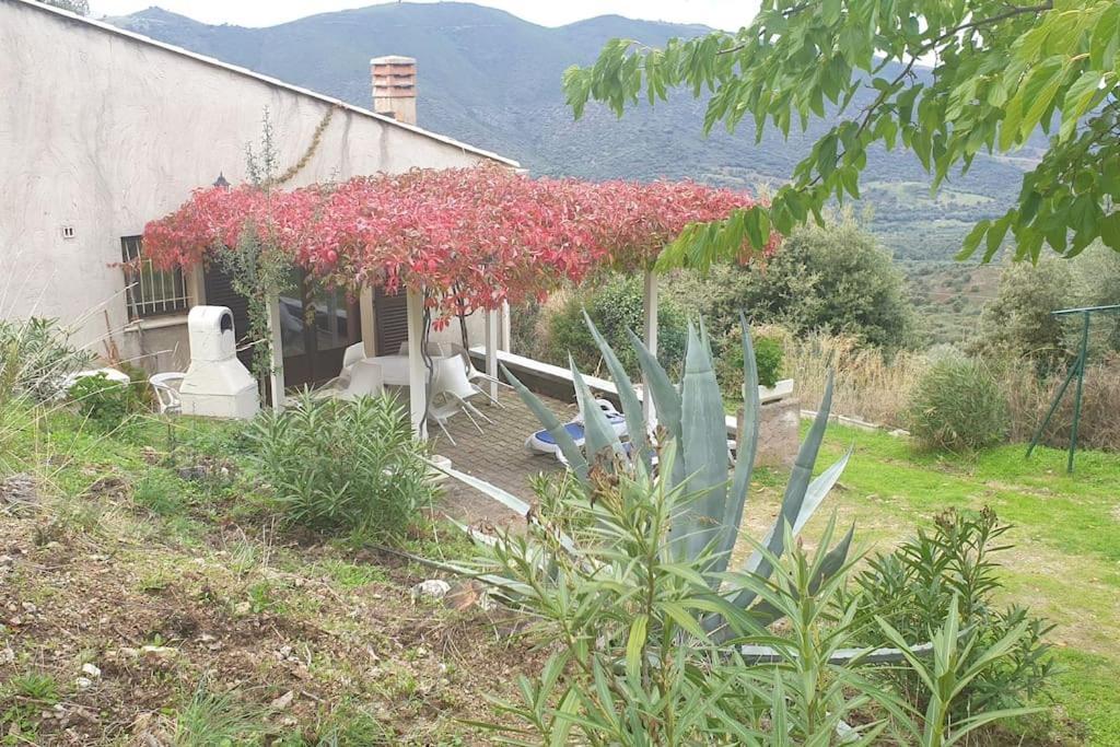 Vos Vacances A Lama France Corse Kültér fotó