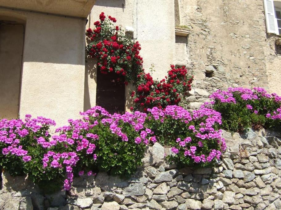 Vos Vacances A Lama France Corse Kültér fotó