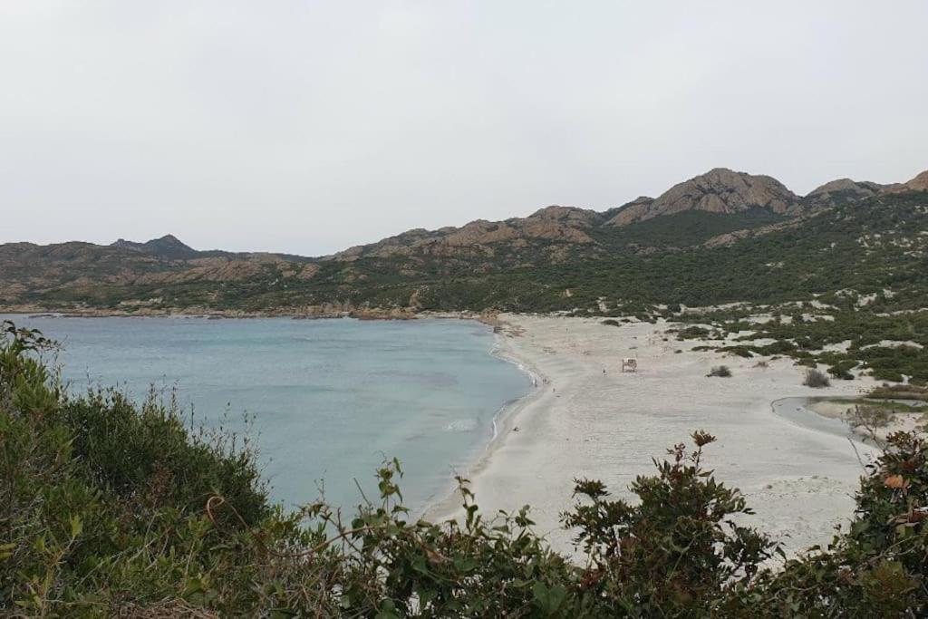 Vos Vacances A Lama France Corse Kültér fotó