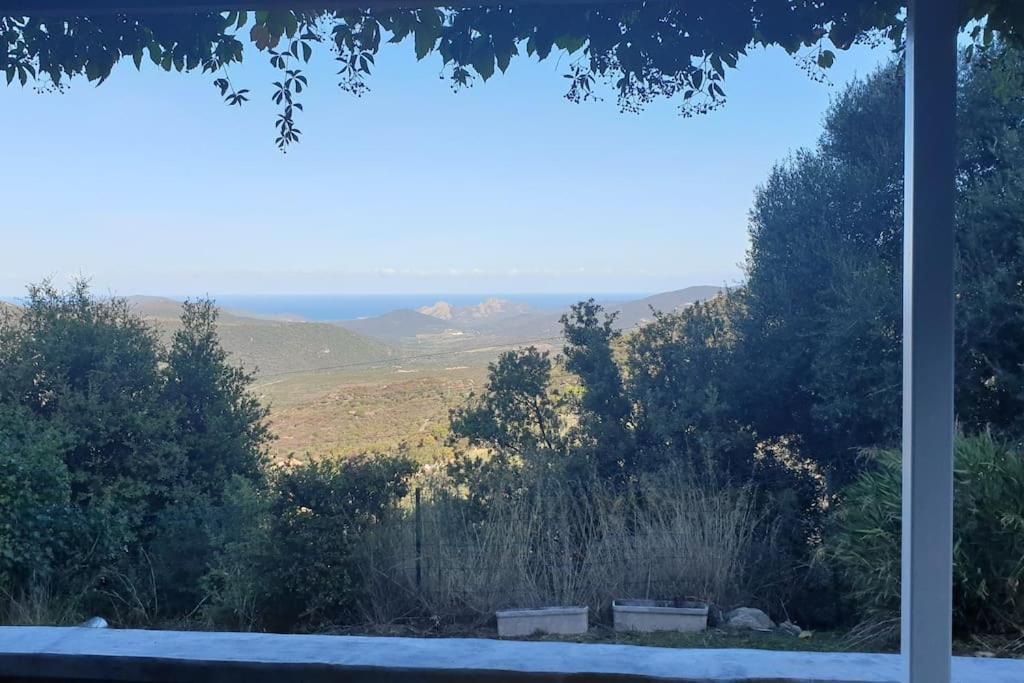 Vos Vacances A Lama France Corse Kültér fotó