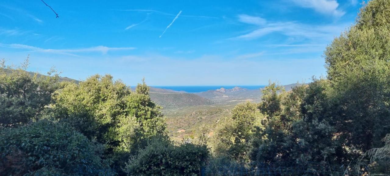 Vos Vacances A Lama France Corse Kültér fotó