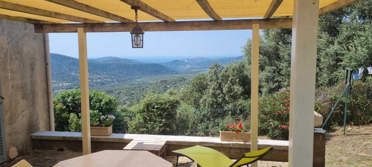 Vos Vacances A Lama France Corse Kültér fotó